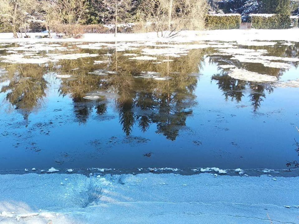 Chata Eva Villa Planá nad Lužnicí Exterior foto