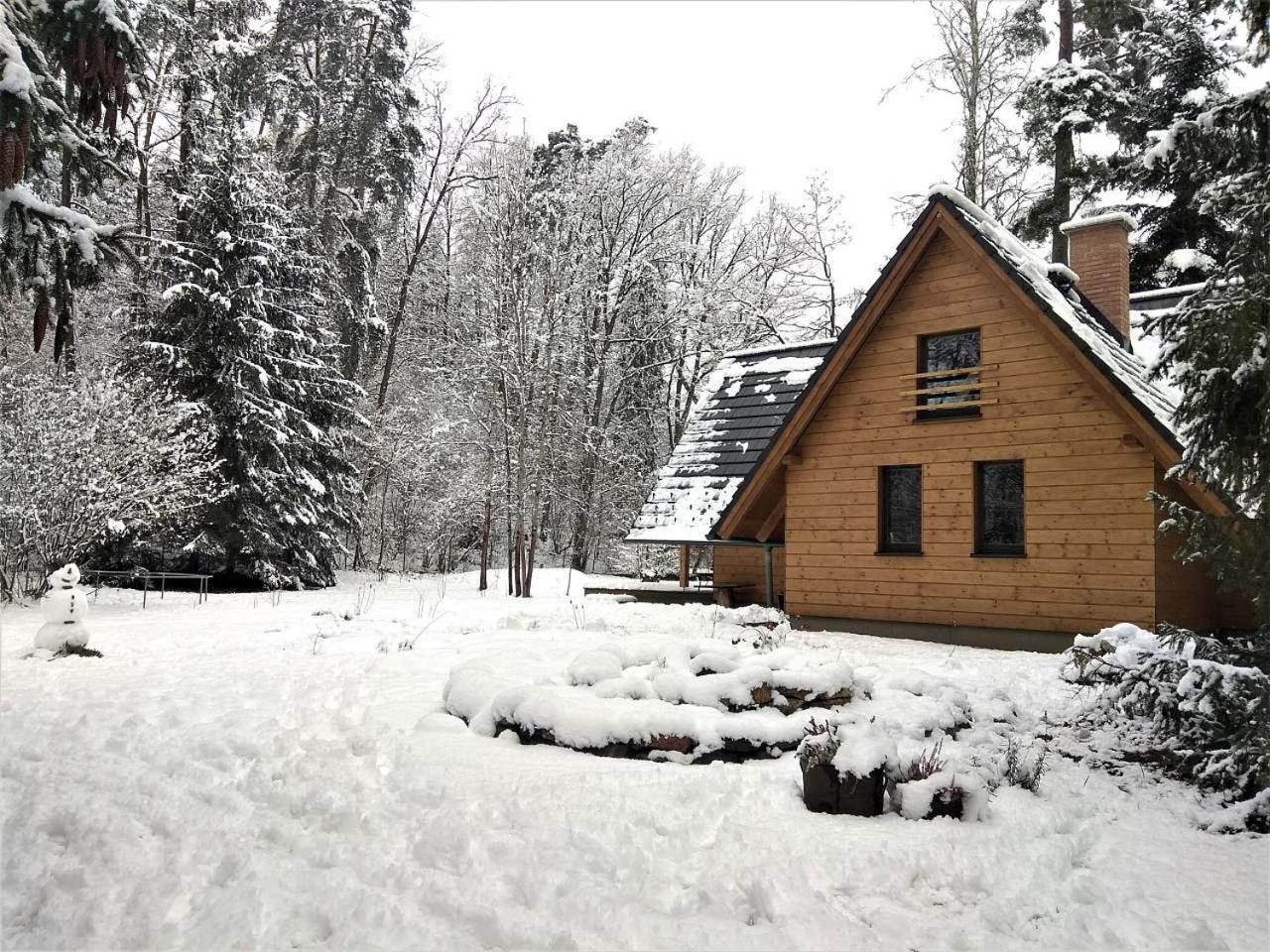 Chata Eva Villa Planá nad Lužnicí Exterior foto